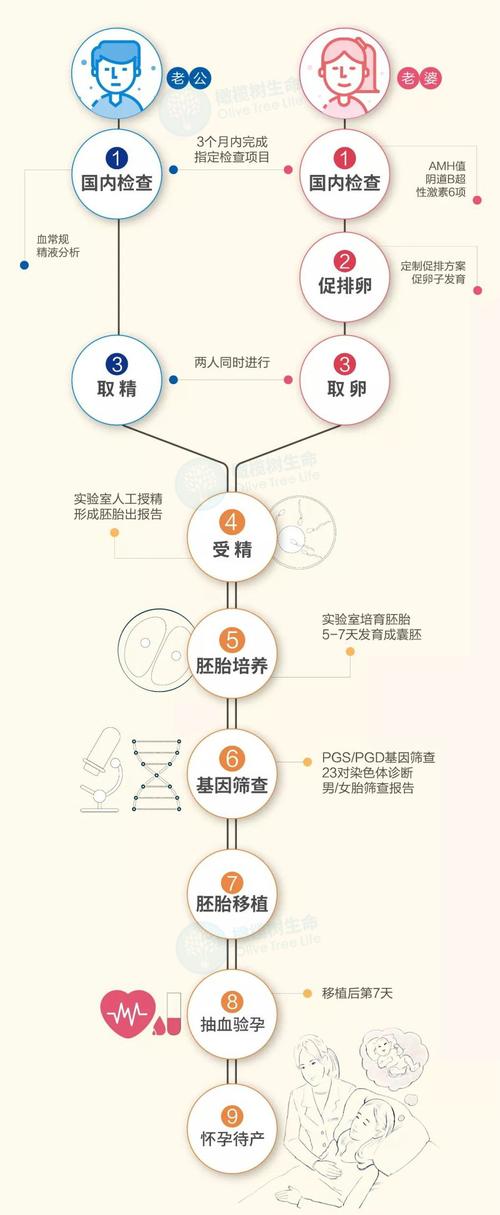 第三代试管婴儿的流程和费用分担