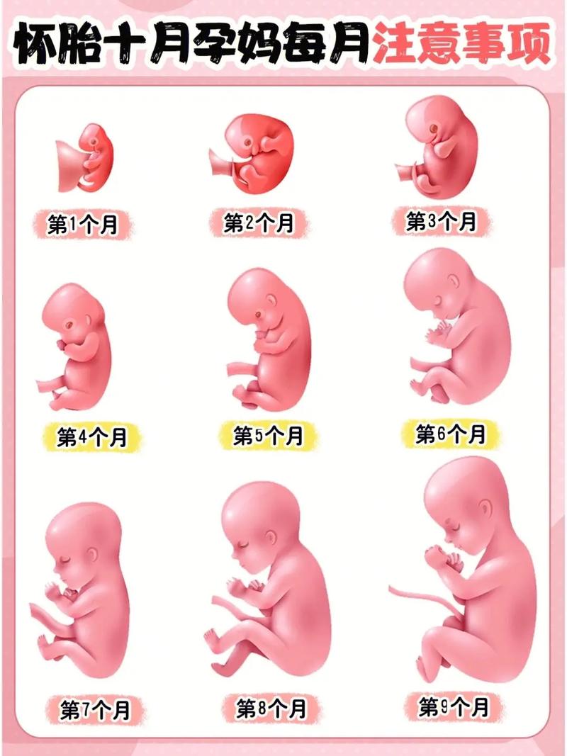 国内第三代助孕宝宝什么时候穿内裤